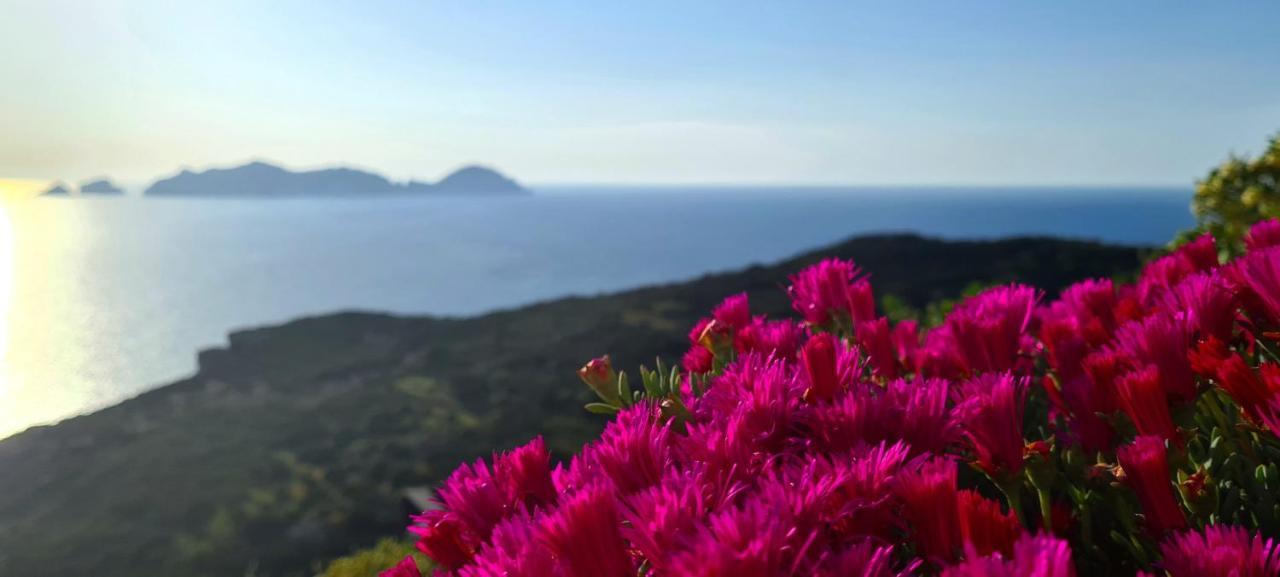 Guest House Villa Il Gabbiano Ponza Exteriör bild