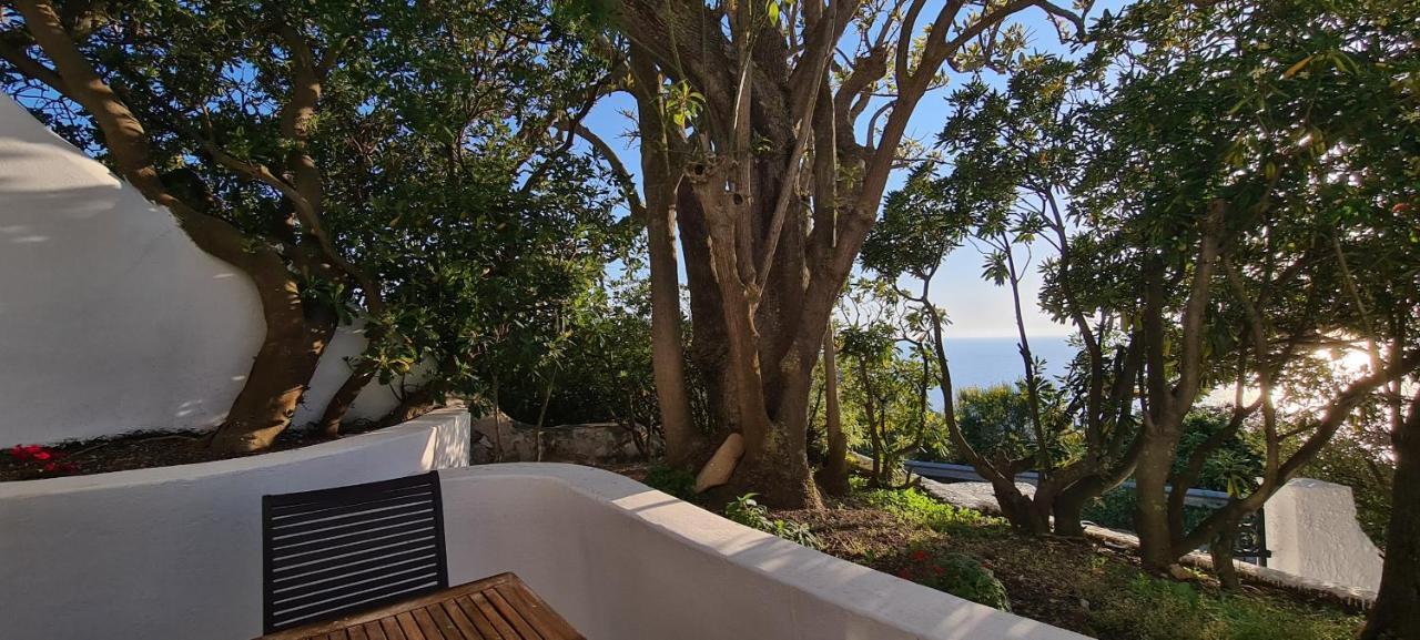 Guest House Villa Il Gabbiano Ponza Exteriör bild